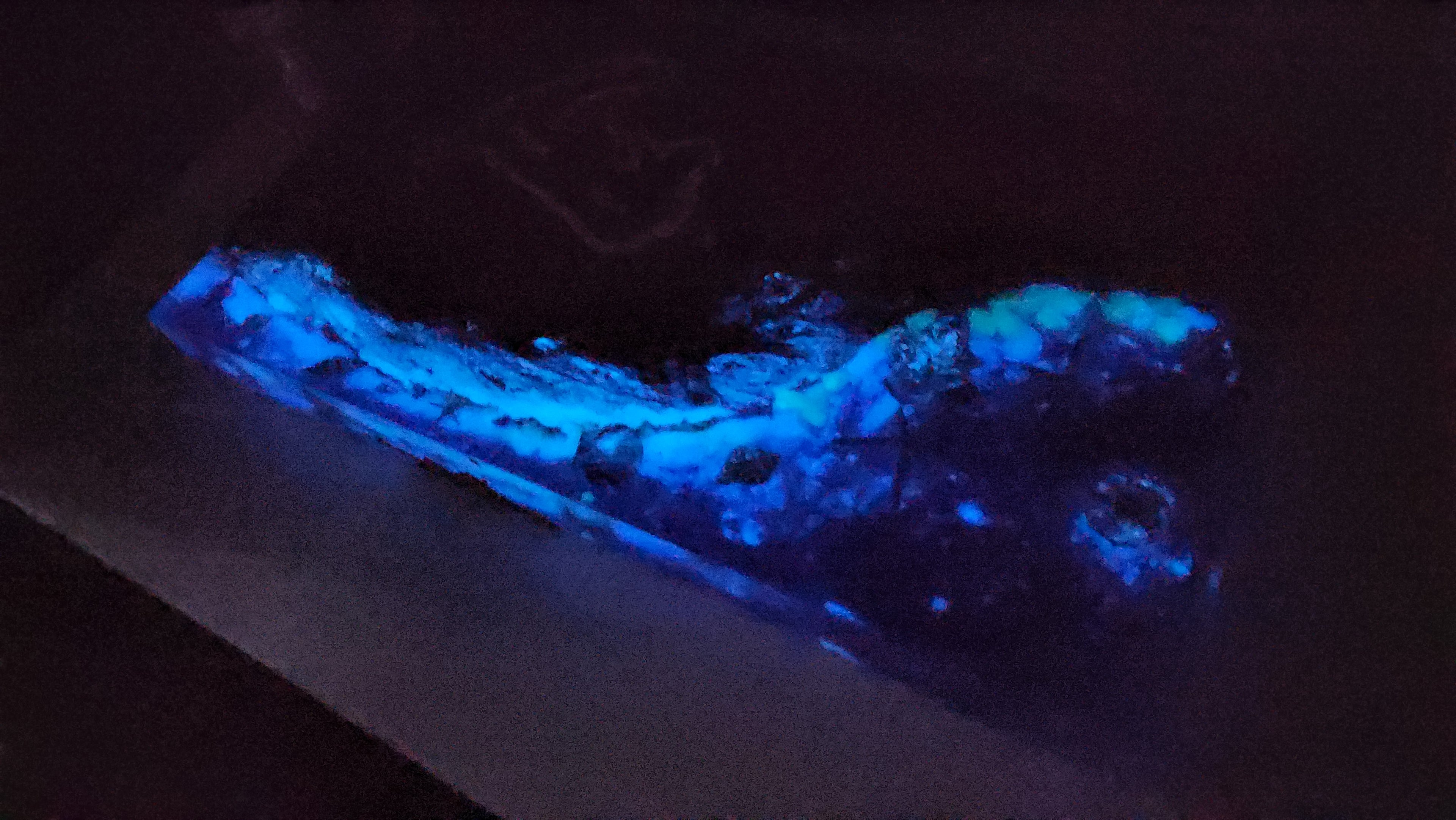 Fluoresent Serving Boards