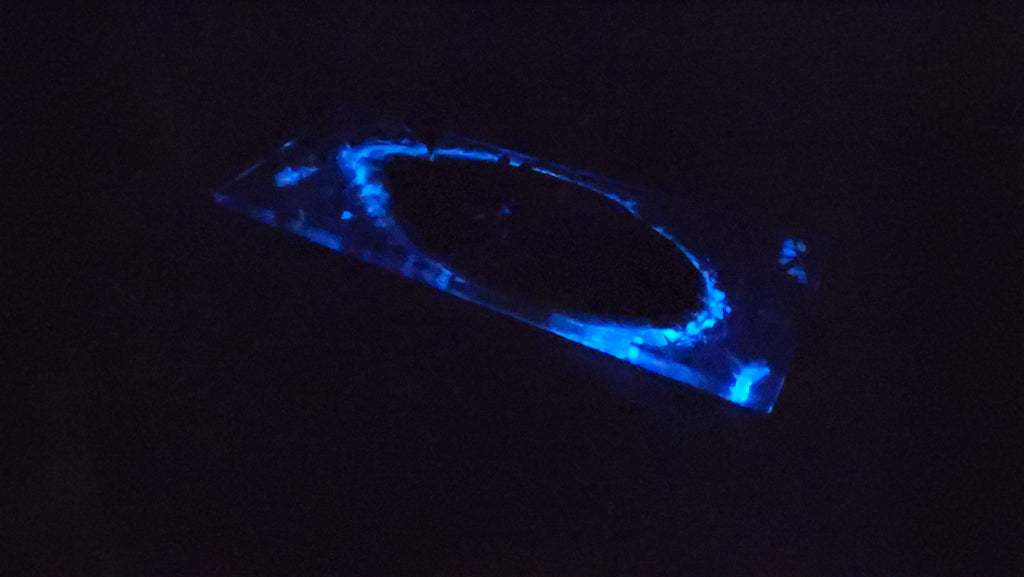 Cheese Plate - Glow-in-the-dark ocean life