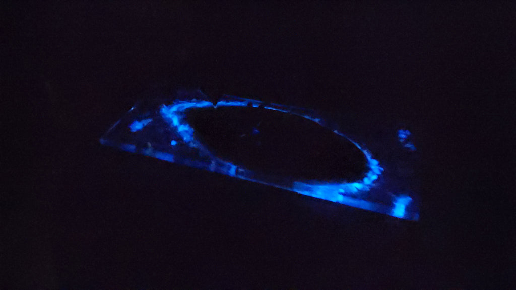 Cheese Plate - Glow-in-the-dark ocean life