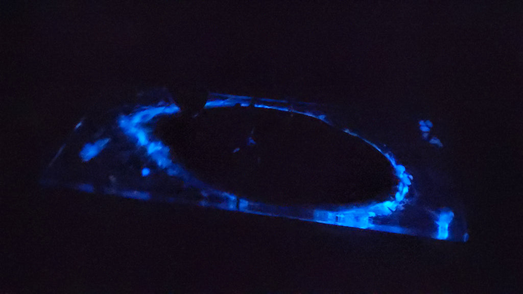 Cheese Plate - Glow-in-the-dark ocean life