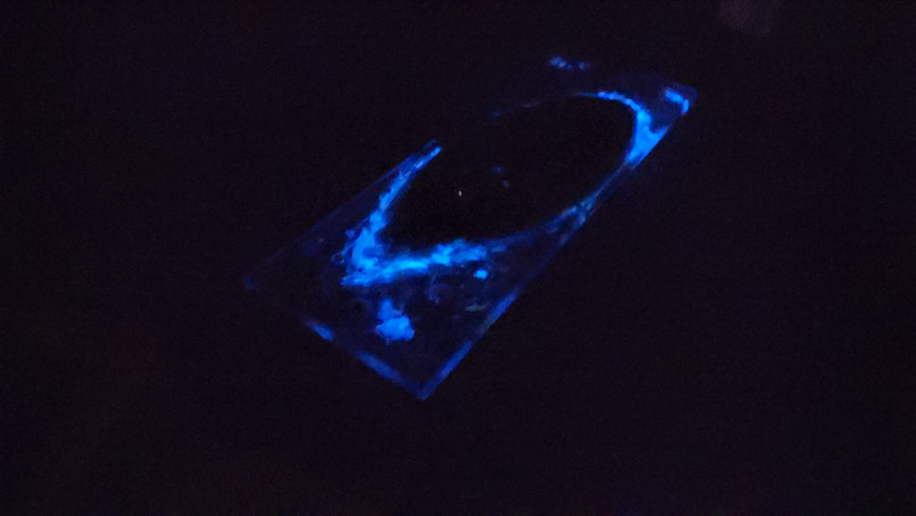 Cheese Plate - Glow-in-the-dark ocean life