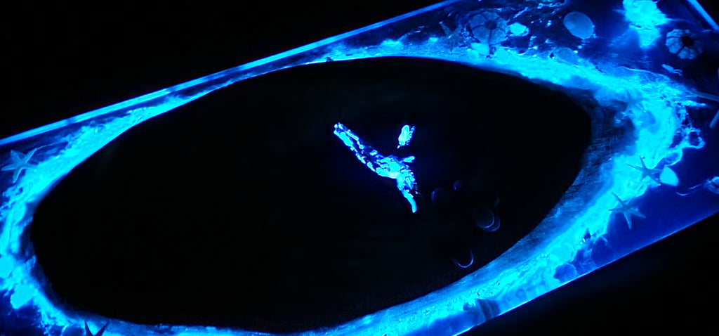 Cheese Plate - Glow-in-the-dark ocean life