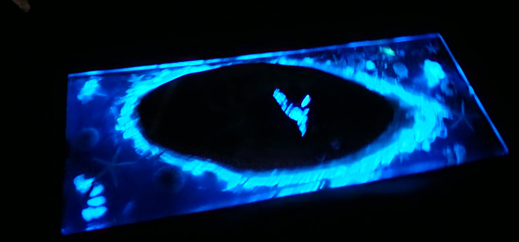 Cheese Plate - Glow-in-the-dark ocean life