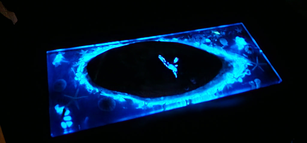 Cheese Plate - Glow-in-the-dark ocean life