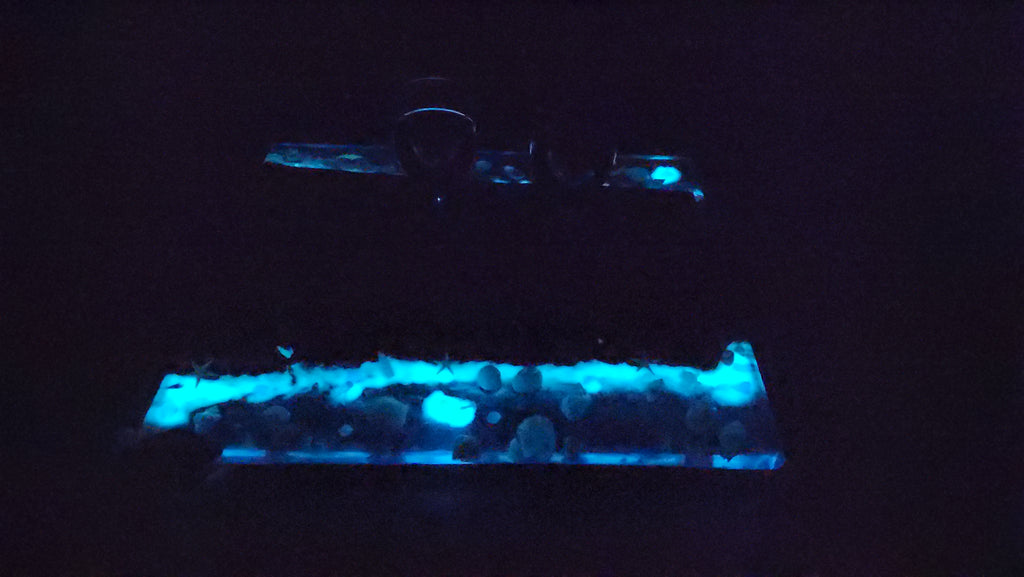 Serving Board - Glow-in-dark epoxy